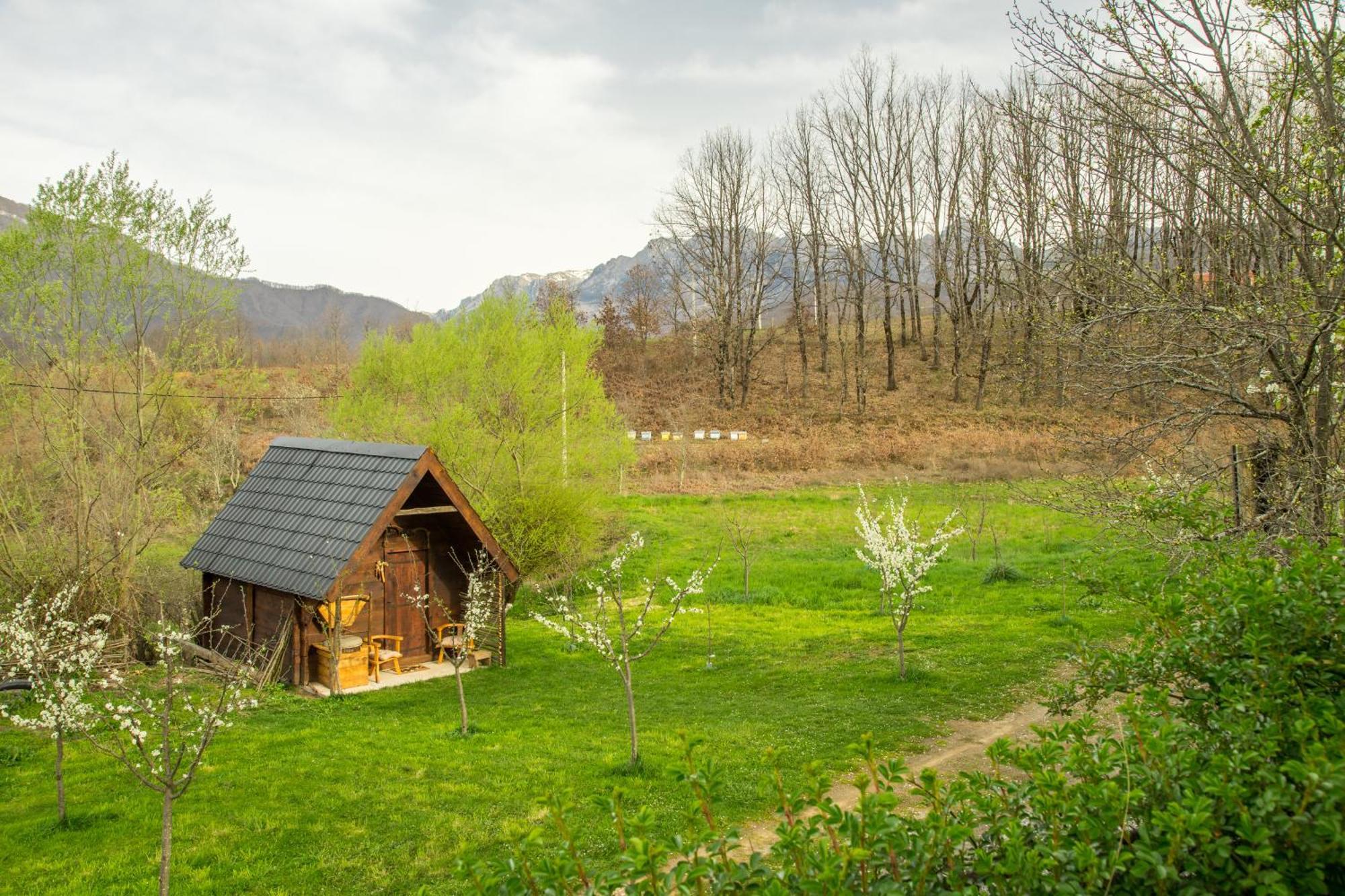 Villa Djurdjevina Family Farm Kolašin Zimmer foto